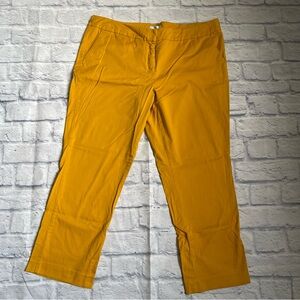 New York & Company Golden Yellow Women's Casual Capris